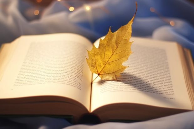 福建历年分数最低的公办学校…专科的…（郑州师范学院专科历年分数线）