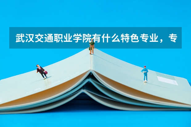 武汉交通职业学院有什么特色专业，专业排名如何
