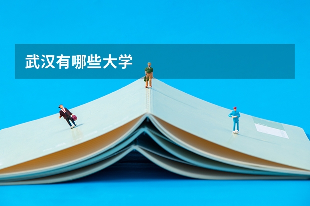 武汉有哪些大学