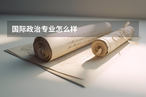 国际政治专业怎么样