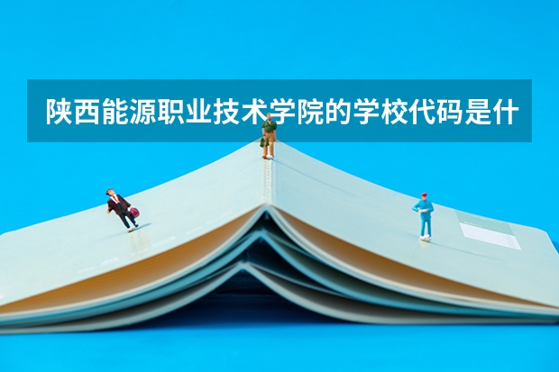 陕西能源职业技术学院的学校代码是什么