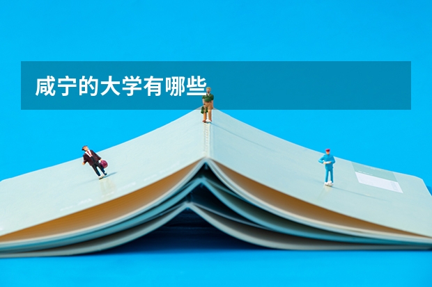 咸宁的大学有哪些
