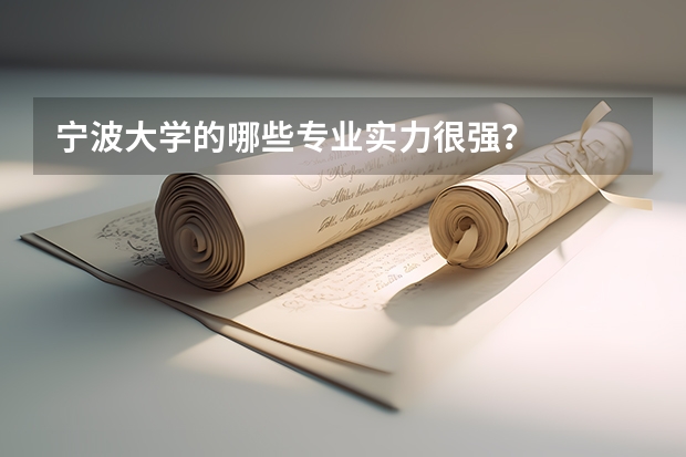 宁波大学的哪些专业实力很强？