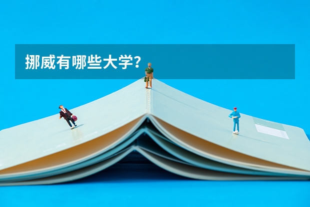 挪威有哪些大学？
