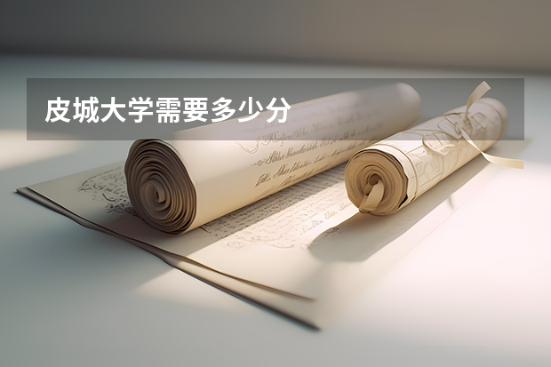 皮城大学需要多少分