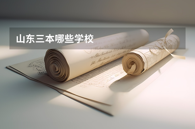 山东三本哪些学校
