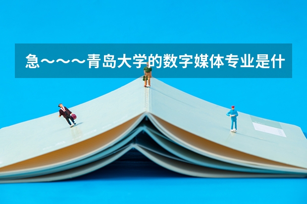 急～～～青岛大学的数字媒体专业是什么性质的？为什么在那个软件技术职业学院呢？属于那个试点本科么？