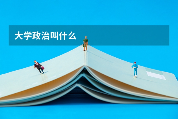 大学政治叫什么