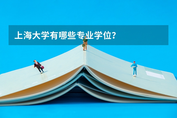 上海大学有哪些专业学位？