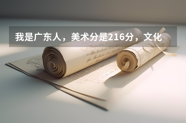 我是广东人,美术分是216分,文化课成绩441分,请问我填报的第一志愿选择哪些