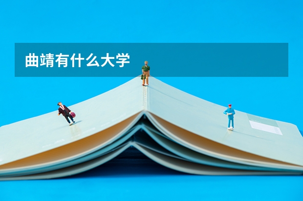 曲靖有什么大学