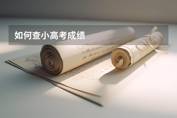 如何查小高考成绩